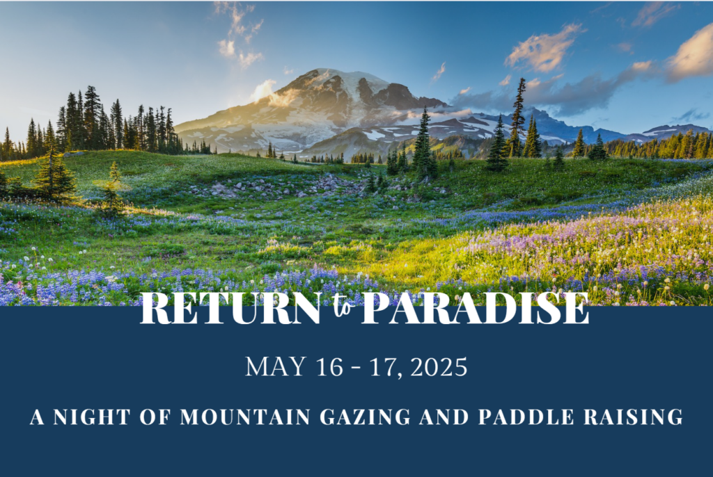 return to paradise image